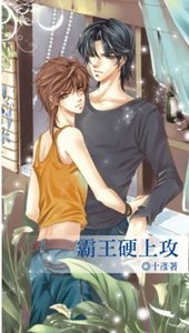 霸王硬上攻（出书版）