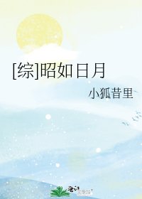 [綜]昭如日月